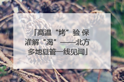 高温“烤”验 保灌解“渴”——北方多地夏管一线见闻