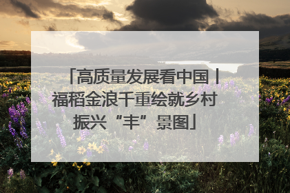 高质量发展看中国丨福稻金浪千重绘就乡村振兴“丰”景图