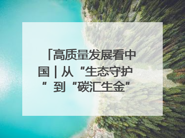 高质量发展看中国｜从“生态守护”到“碳汇生金”——中国石油大庆油田绿色蝶变