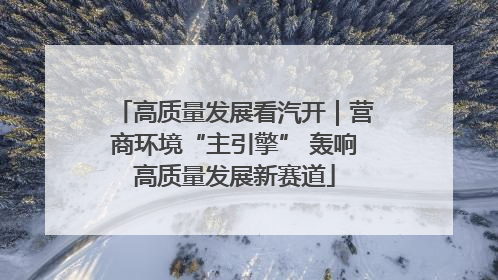 高质量发展看汽开｜营商环境“主引擎” 轰响高质量发展新赛道