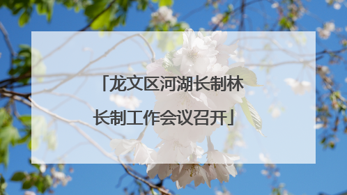 龙文区河湖长制林长制工作会议召开