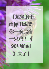 龙泉的千亩梯田想奖你一晚民宿一只鸡！《90早新闻》来了