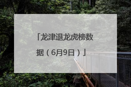 龙津退龙虎榜数据（6月9日）