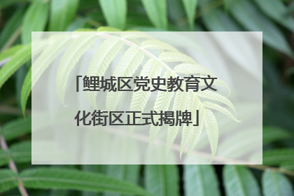 鲤城区党史教育文化街区正式揭牌