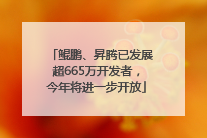 鲲鹏、昇腾已发展超665万开发者，今年将进一步开放
