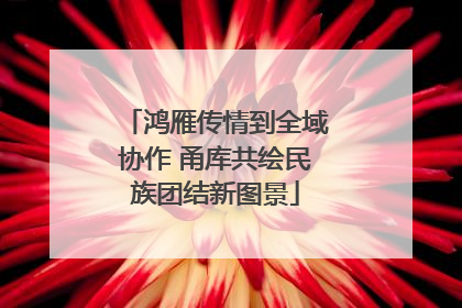 鸿雁传情到全域协作 甬库共绘民族团结新图景