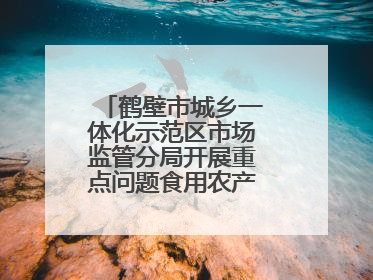 鹤壁市城乡一体化示范区市场监管分局开展重点问题食用农产品专项整治