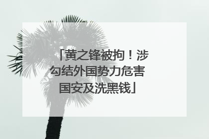 黄之锋被拘！涉勾结外国势力危害国安及洗黑钱