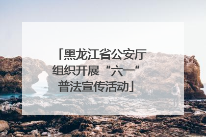 黑龙江省公安厅组织开展“六一”普法宣传活动