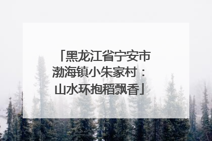 黑龙江省宁安市渤海镇小朱家村：山水环抱稻飘香