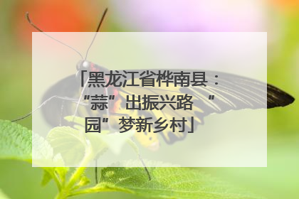 黑龙江省桦南县：“蒜”出振兴路 “园”梦新乡村