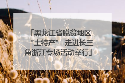 黑龙江省脱贫地区 “土特产” 走进长三角浙江专场活动举行