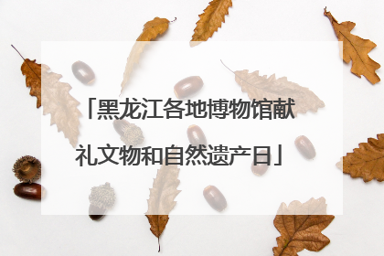黑龙江各地博物馆献礼文物和自然遗产日