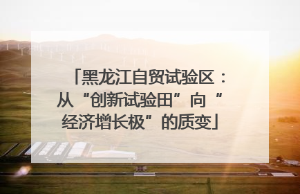 黑龙江自贸试验区：从“创新试验田”向“经济增长极”的质变