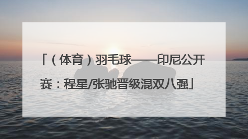 （体育）羽毛球——印尼公开赛：程星/张驰晋级混双八强