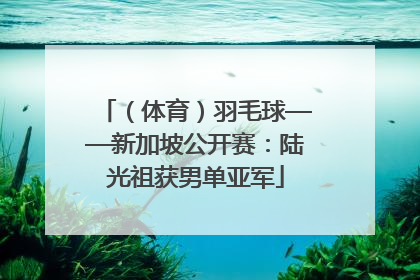 （体育）羽毛球——新加坡公开赛：陆光祖获男单亚军