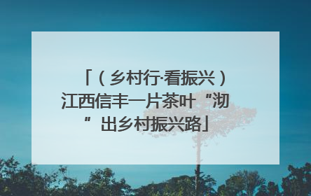 （乡村行·看振兴）江西信丰一片茶叶“沏”出乡村振兴路