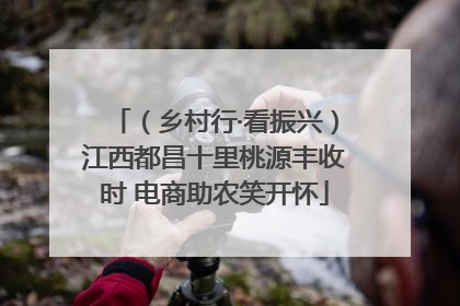 （乡村行·看振兴）江西都昌十里桃源丰收时 电商助农笑开怀