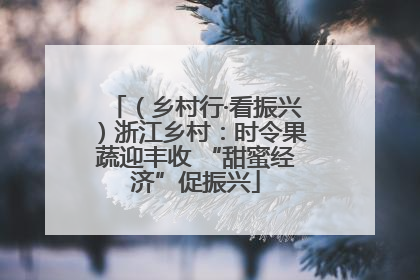 （乡村行·看振兴）浙江乡村：时令果蔬迎丰收 “甜蜜经济”促振兴