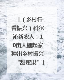 （乡村行·看振兴）科尔沁新农人：10亩大棚起家种出乡村振兴“甜蜜果”