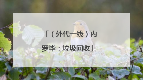 （外代一线）内罗毕：垃圾回收