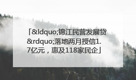“锦江民营发展贷”落地两月授信1.7亿元，惠及118家民企