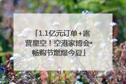 1.1亿元订单+露营星空！空港家博会▪畅购节燃爆今夏