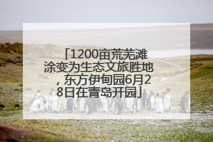 1200亩荒芜滩涂变为生态文旅胜地，东方伊甸园6月28日在青岛开园