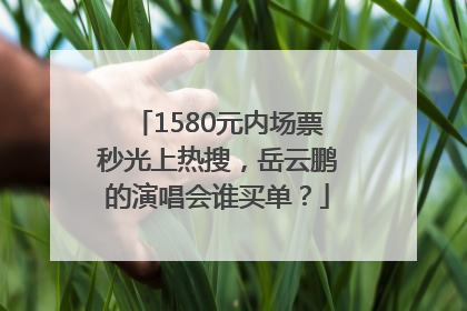 1580元内场票秒光上热搜，岳云鹏的演唱会谁买单？