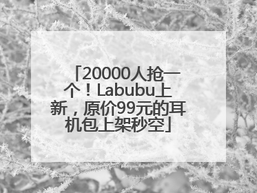20000人抢一个！Labubu上新，原价99元的耳机包上架秒空