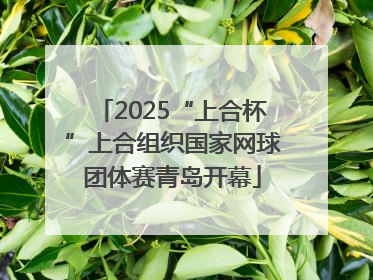 2025“上合杯”上合组织国家网球团体赛青岛开幕