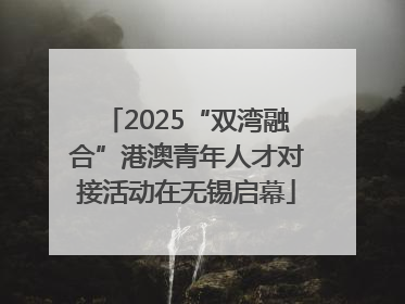 2025“双湾融合”港澳青年人才对接活动在无锡启幕