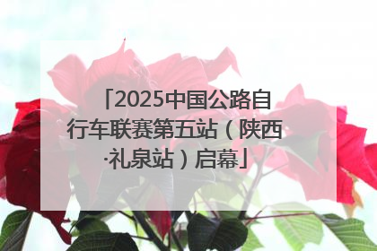 2025中国公路自行车联赛第五站（陕西·礼泉站）启幕