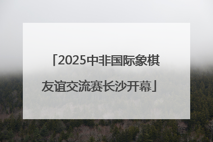 2025中非国际象棋友谊交流赛长沙开幕