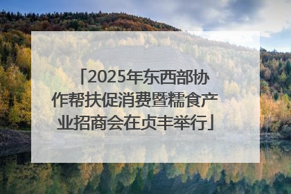 2025年东西部协作帮扶促消费暨糯食产业招商会在贞丰举行