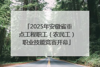 2025年安徽省重点工程职工（农民工）职业技能竞赛开幕
