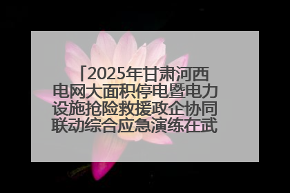 2025年甘肃河西电网大面积停电暨电力设施抢险救援政企协同联动综合应急演练在武威成功举行
