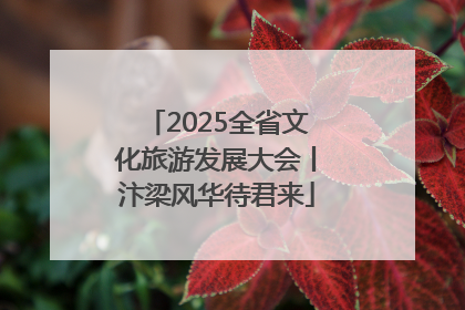 2025全省文化旅游发展大会丨汴梁风华待君来
