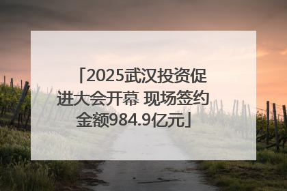2025武汉投资促进大会开幕 现场签约金额984.9亿元