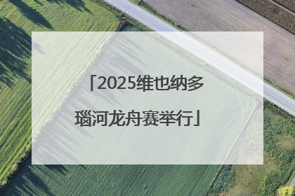 2025维也纳多瑙河龙舟赛举行