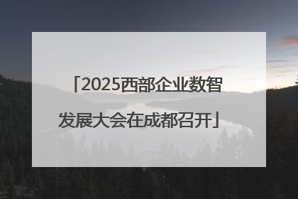 2025西部企业数智发展大会在成都召开