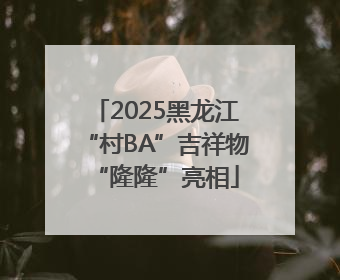 2025黑龙江“村BA”吉祥物“隆隆”亮相