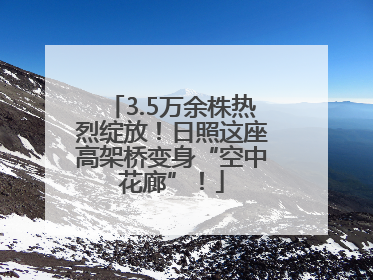 3.5万余株热烈绽放！日照这座高架桥变身“空中花廊”！