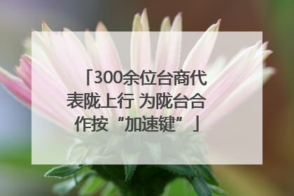 300余位台商代表陇上行 为陇台合作按“加速键”