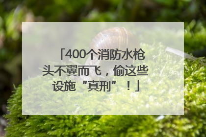 400个消防水枪头不翼而飞，偷这些设施“真刑”！
