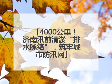 4000公里！济南汛前清淤“排水脉络”，筑牢城市防汛网