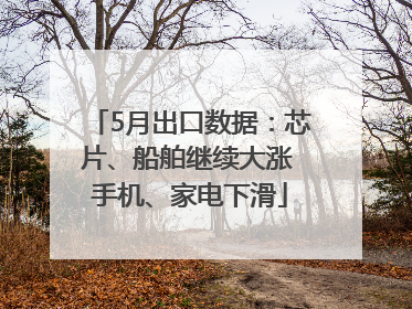 5月出口数据：芯片、船舶继续大涨 手机、家电下滑