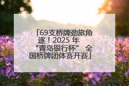 69支桥牌劲旅角逐！2025 年 “青岛银行杯” 全国桥牌团体赛开赛