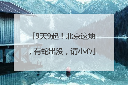 9天9起！北京这地，有蛇出没，请小心