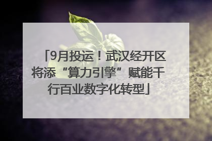 9月投运！武汉经开区将添“算力引擎”赋能千行百业数字化转型